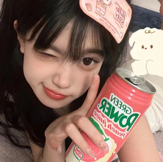 鬣狗之城