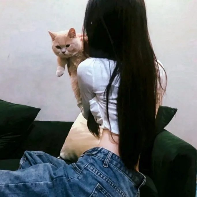 石头会说话