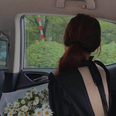 鉴你所见:花露森林